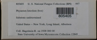 Image Associated With the Occurence